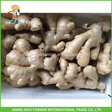 Top Quality New Crop Shandong Fully Air Сушеный имбирь 250г до Пластиковые коробочки